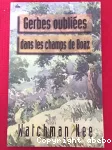 Gerbes oublies dans les champs de Boaz