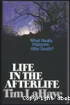 Life in the Afterlife